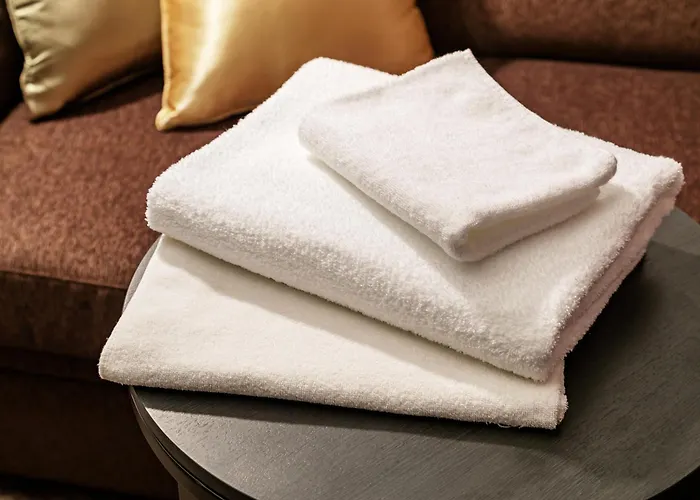 Villa Fontaine Grand Tokyo Shiodome